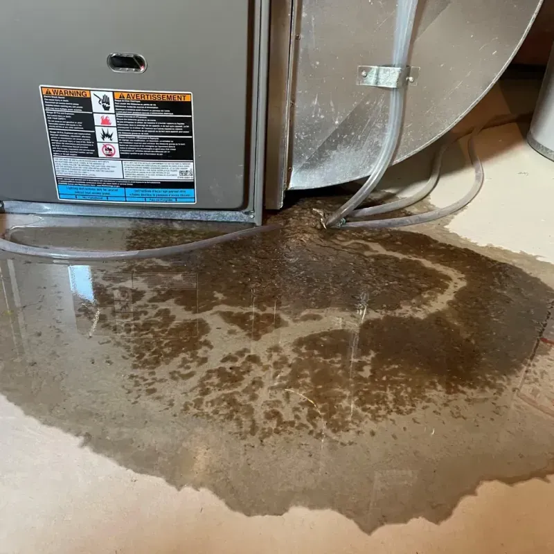 Appliance Leak Cleanup in Davidson, NC